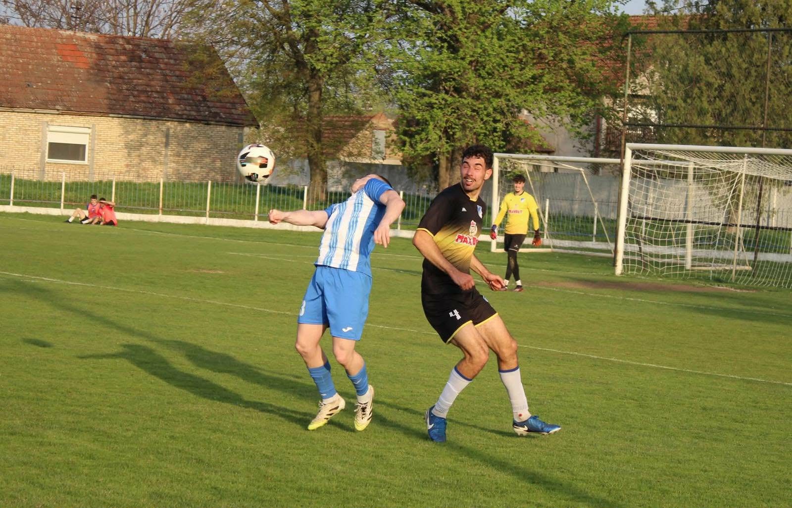 mLadost backi jarak